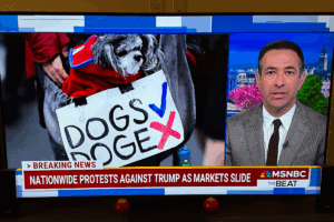 Cute Dog Holding Sign at HandsOff Protest