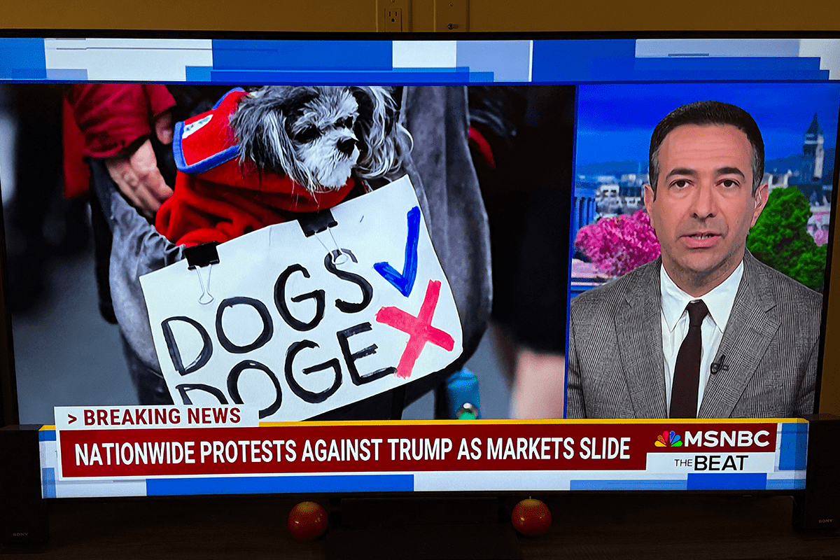 Cute Dog Holding Sign at HandsOff Protest